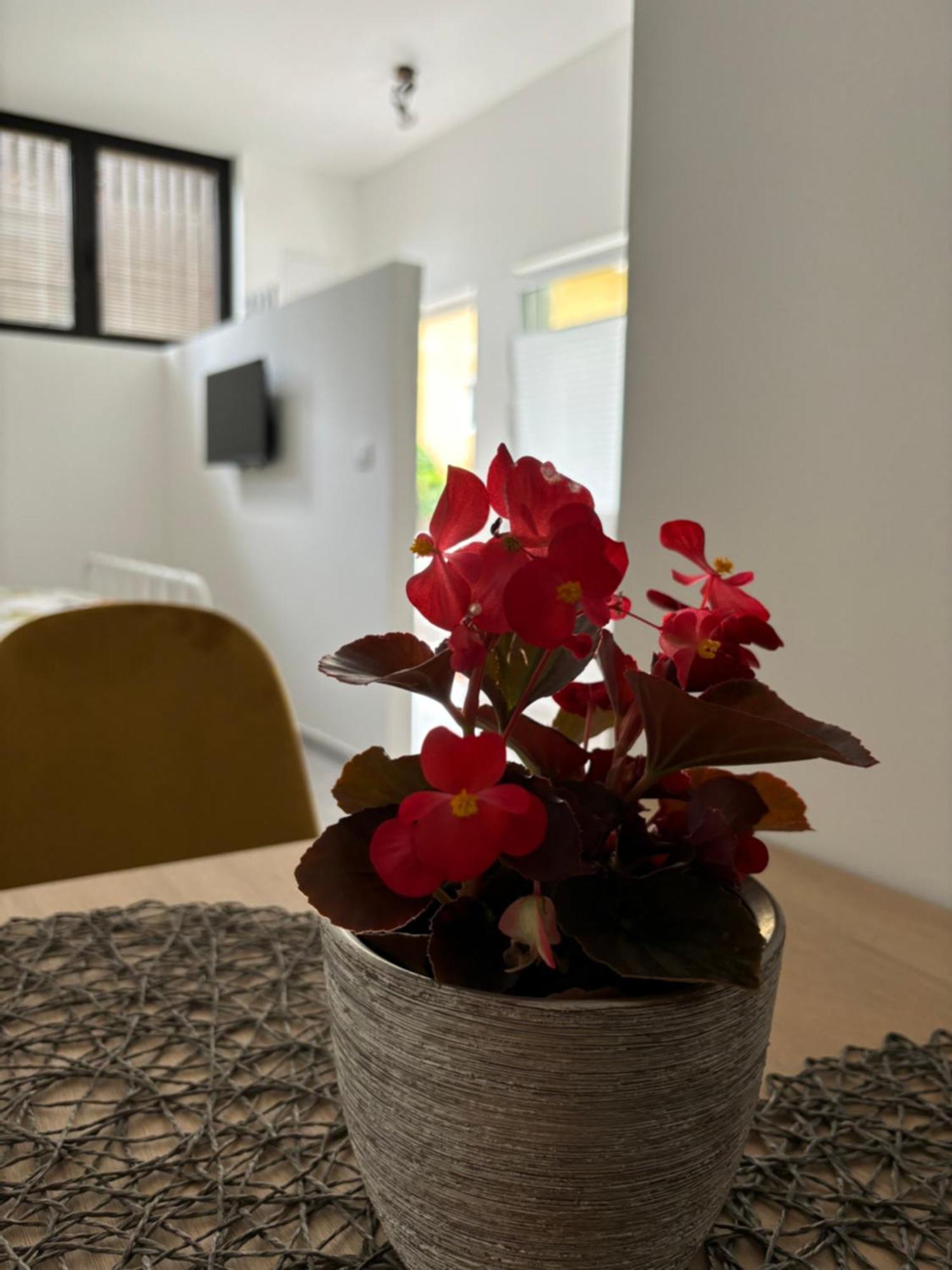 Apartment Jang Толмин Экстерьер фото